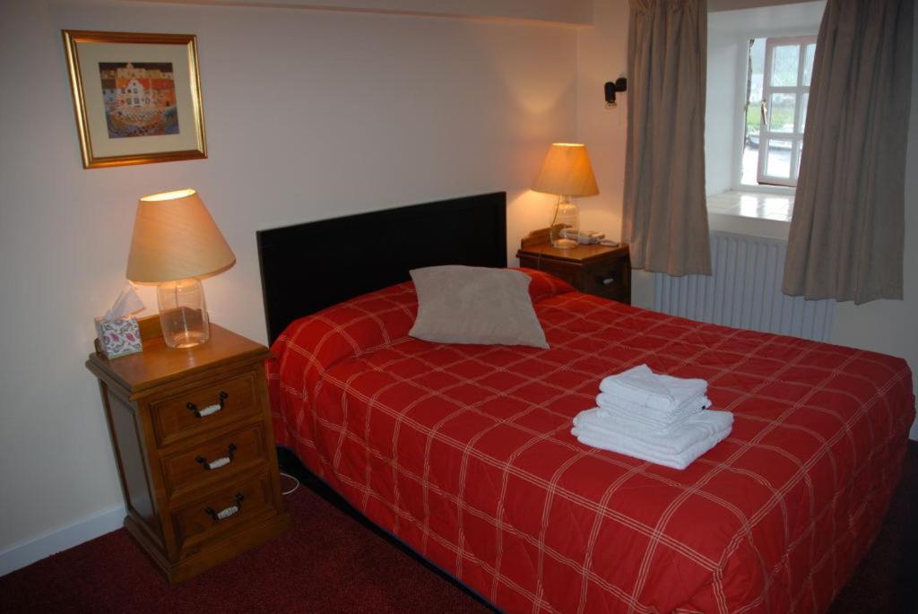 Waterside Guesthouse Graiguenamanagh Exteriör bild