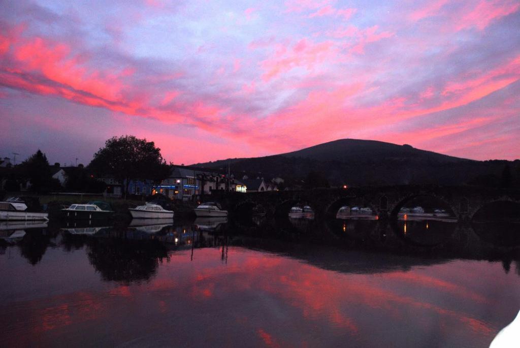 Waterside Guesthouse Graiguenamanagh Exteriör bild